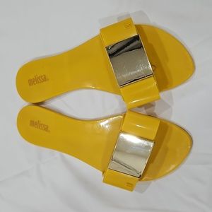 Melissa Slides